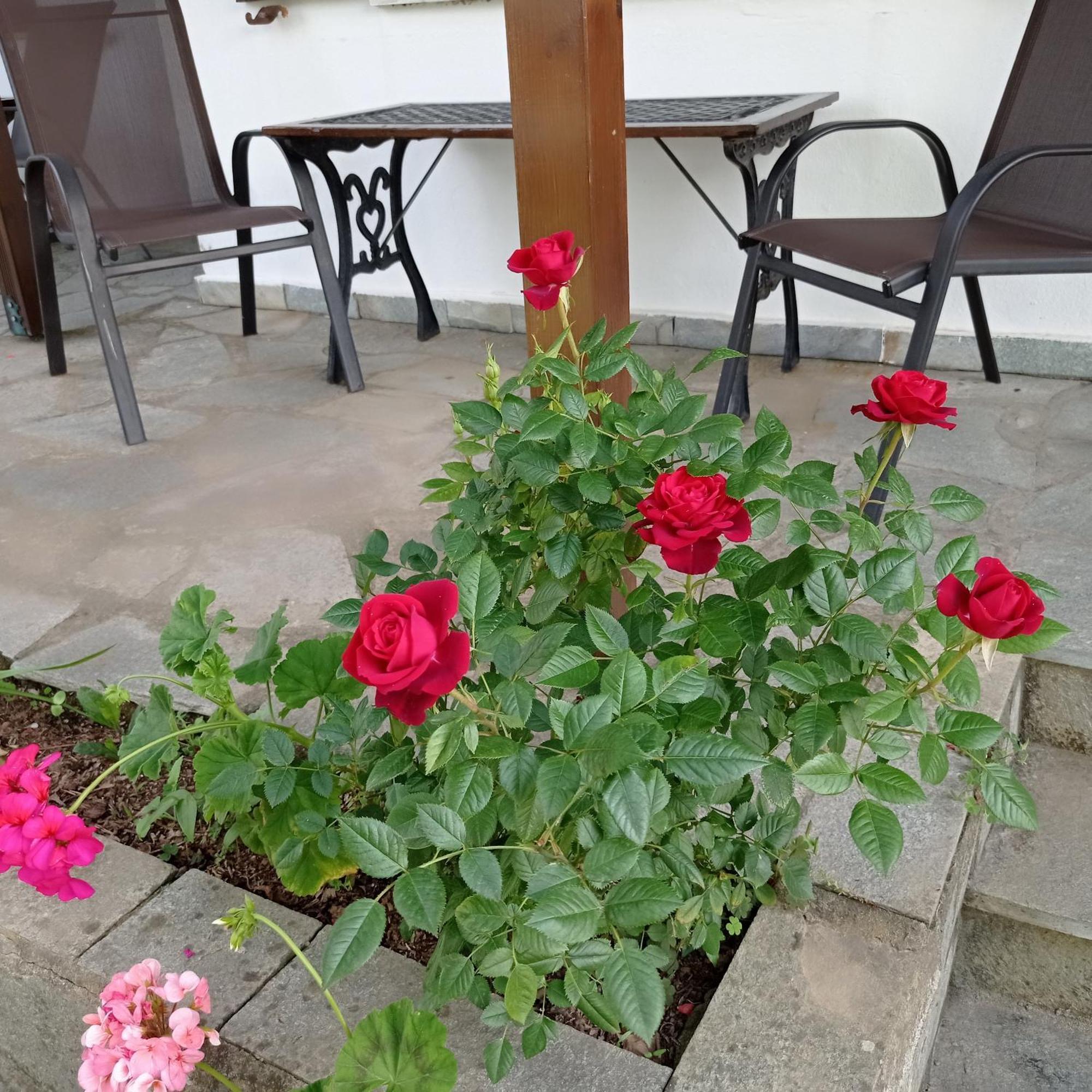 Asprovalta Rooms Kariotes Екстериор снимка