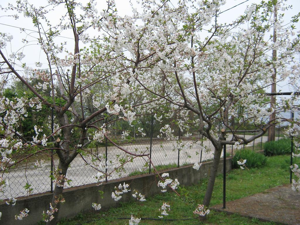 Asprovalta Rooms Kariotes Екстериор снимка